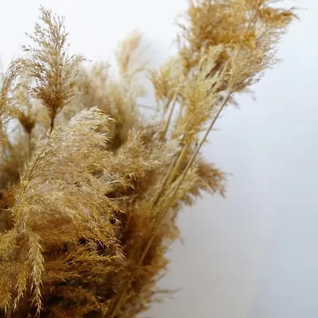 호텔 Doka Butik Alacati 이즈미르