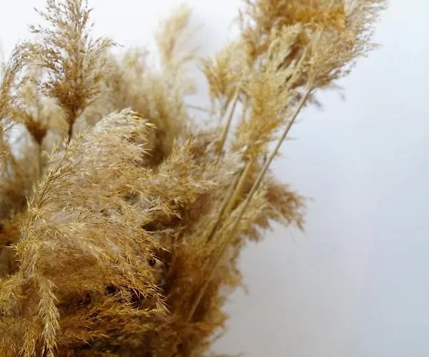 Hotel Doka Butik Alacati Izmir